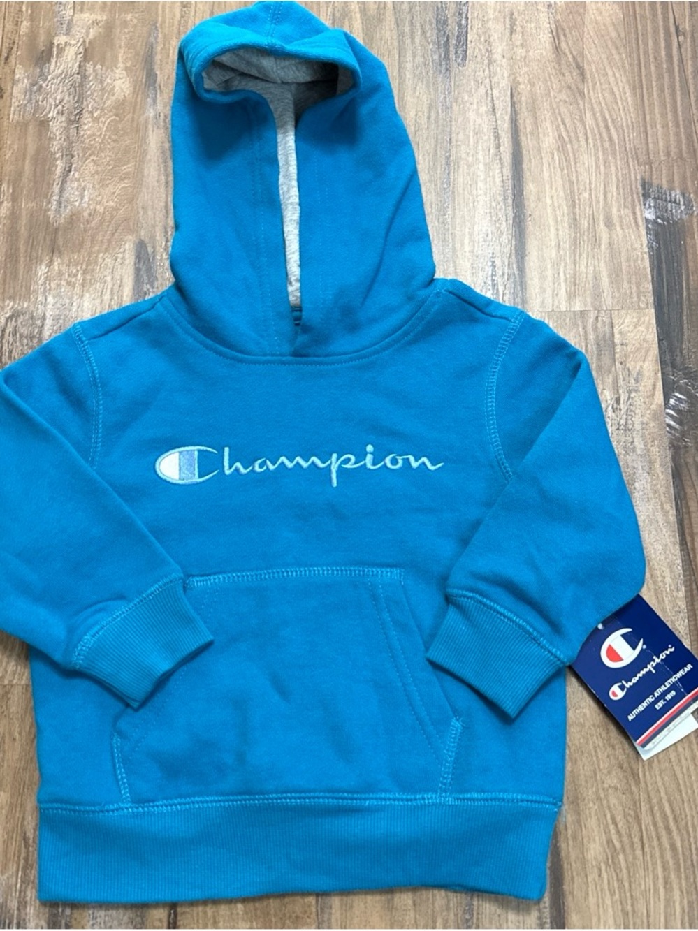 Champion Kids Dark Teal Hoodie Sweatshirt
